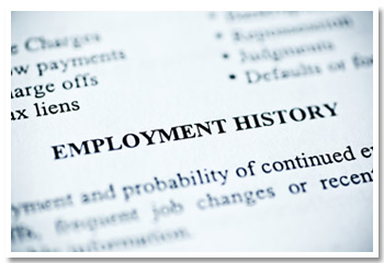 Employment History